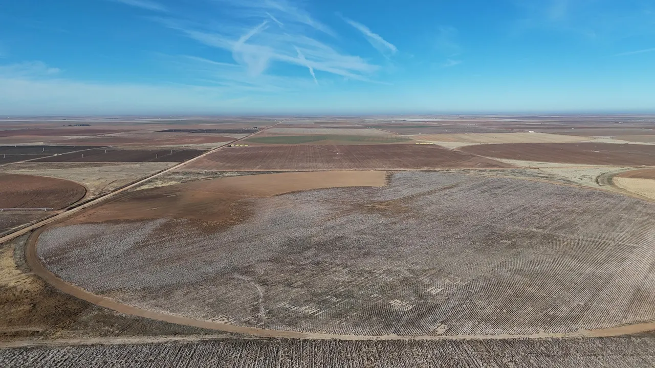 Photo 6 — 0 CR 470, Brownfield, TX 79316
