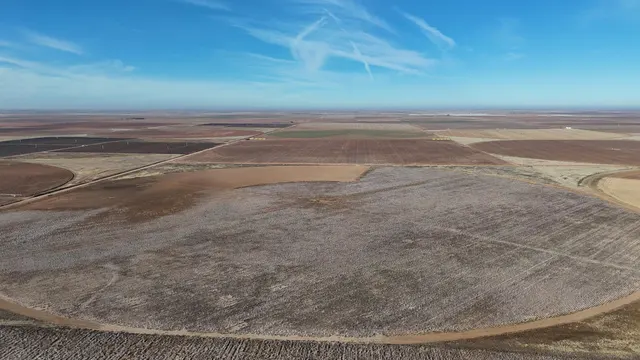 Photo 7 — 0 CR 470, Brownfield, TX 79316