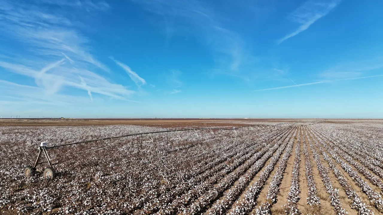 Photo 8 — 0 CR 470, Brownfield, TX 79316