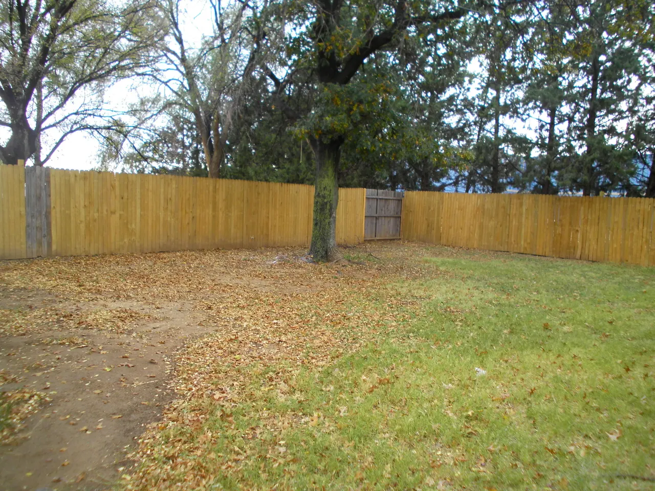 Photo 13 — 1115 Monticello Avenue, Littlefield, TX 79339
