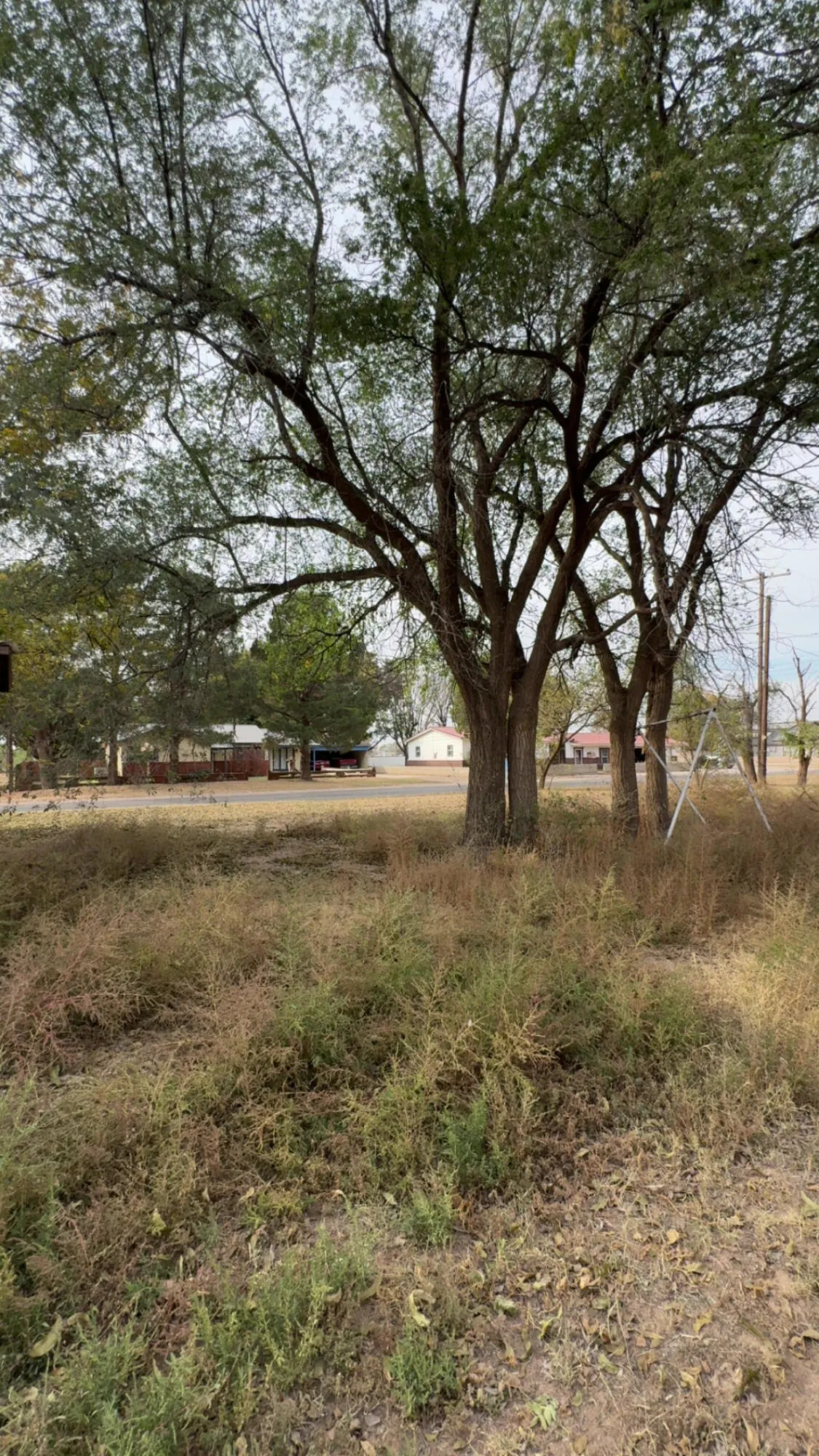 Photo 12 — 712 11th Street, O'Donnell, TX 79351