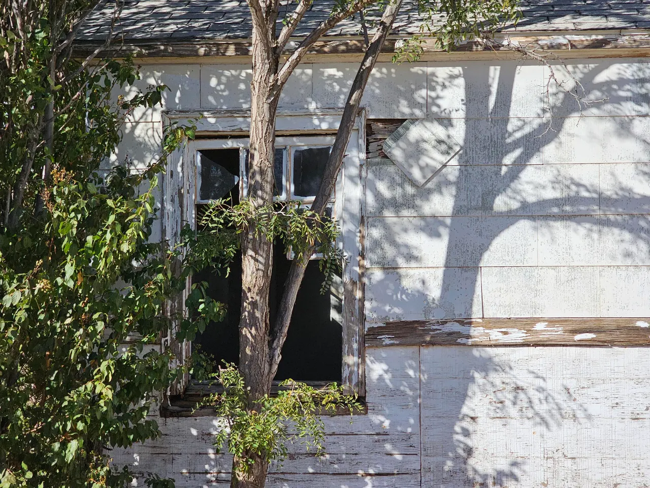 Photo 6 — 1514 18th Street, Lubbock, TX 79401