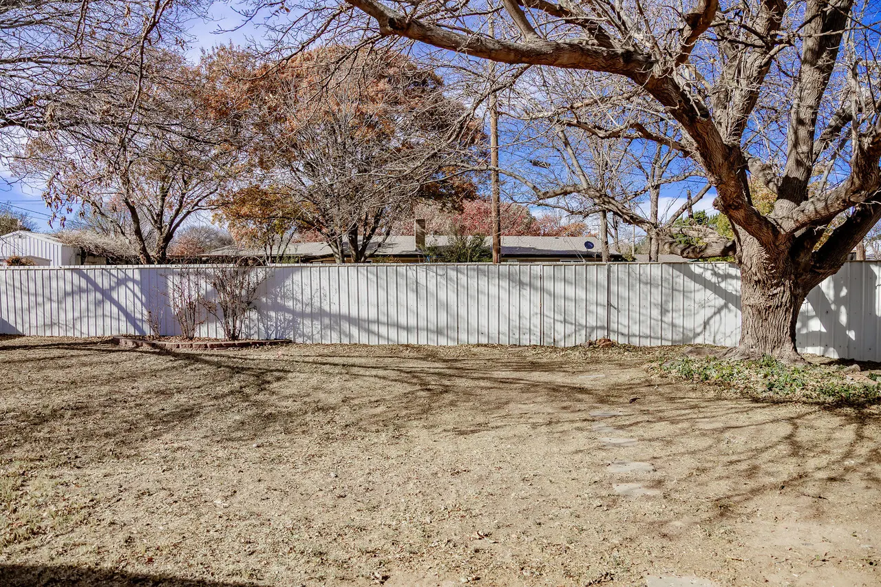Photo 45 — 1615 Avenue F, Abernathy, TX 79311