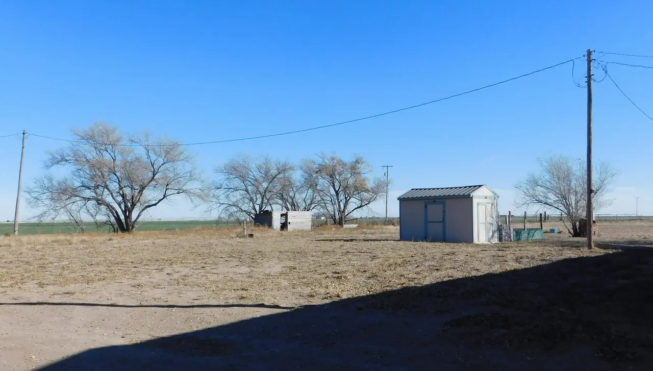 Photo 14 — 431 County Rd 225, Muleshoe, TX 79347
