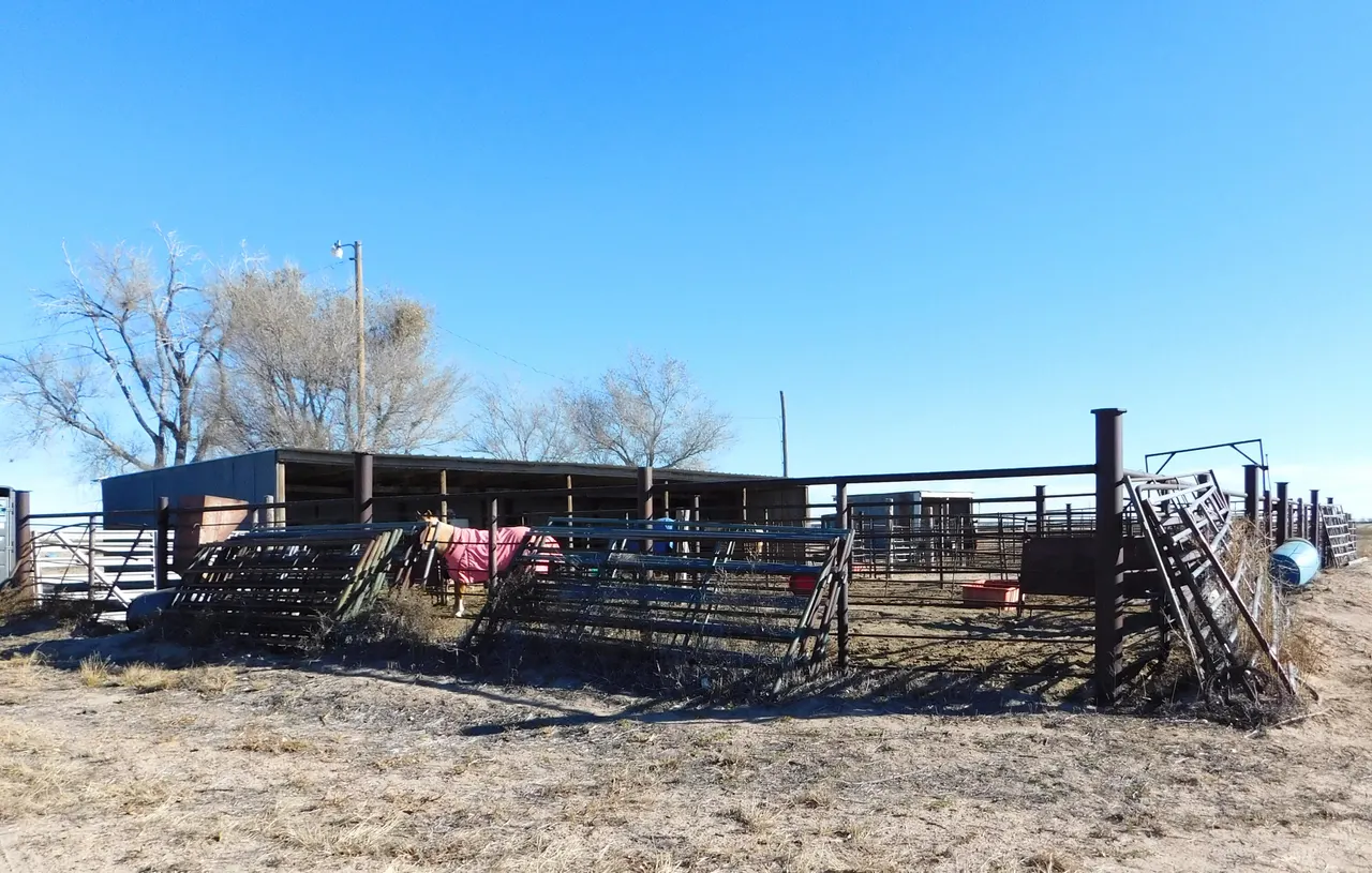 Photo 18 — 431 County Rd 225, Muleshoe, TX 79347