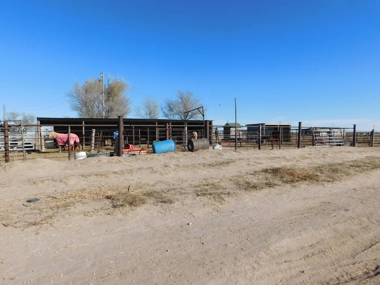 Photo 19 — 431 County Rd 225, Muleshoe, TX 79347