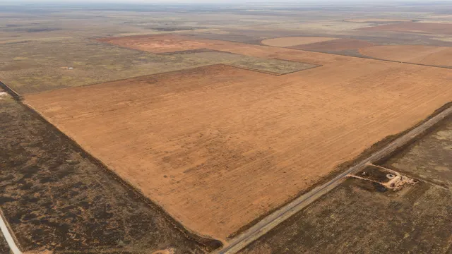 Photo 6 — FM 2182 FM 2182, Morton, TX 79346