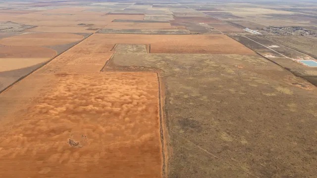 Photo 8 — FM 2182 FM 2182, Morton, TX 79346