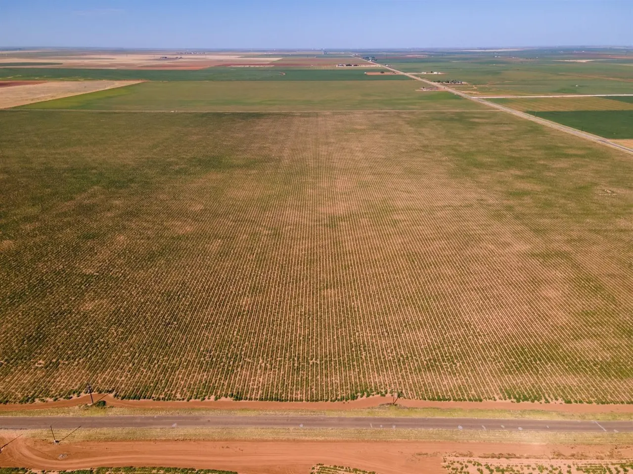Photo 9 — 6130 FM 41, Ropesville, TX 79358