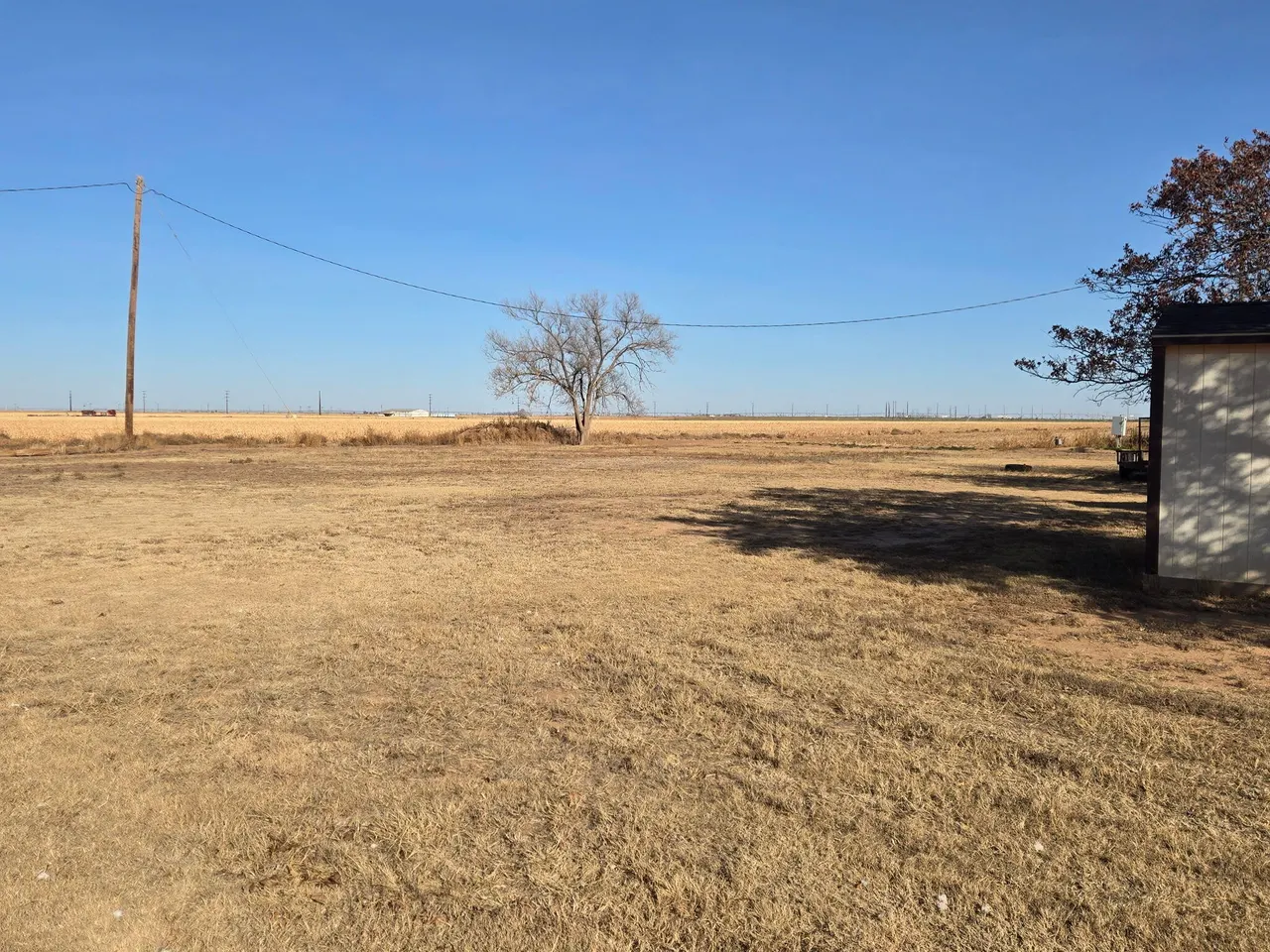 Photo 29 — 921 FM168, Olton, TX 79064