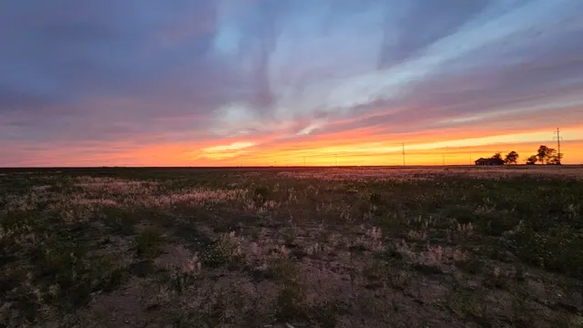 Photo 7 — 1521 County Road 13, Tahoka, TX 79373