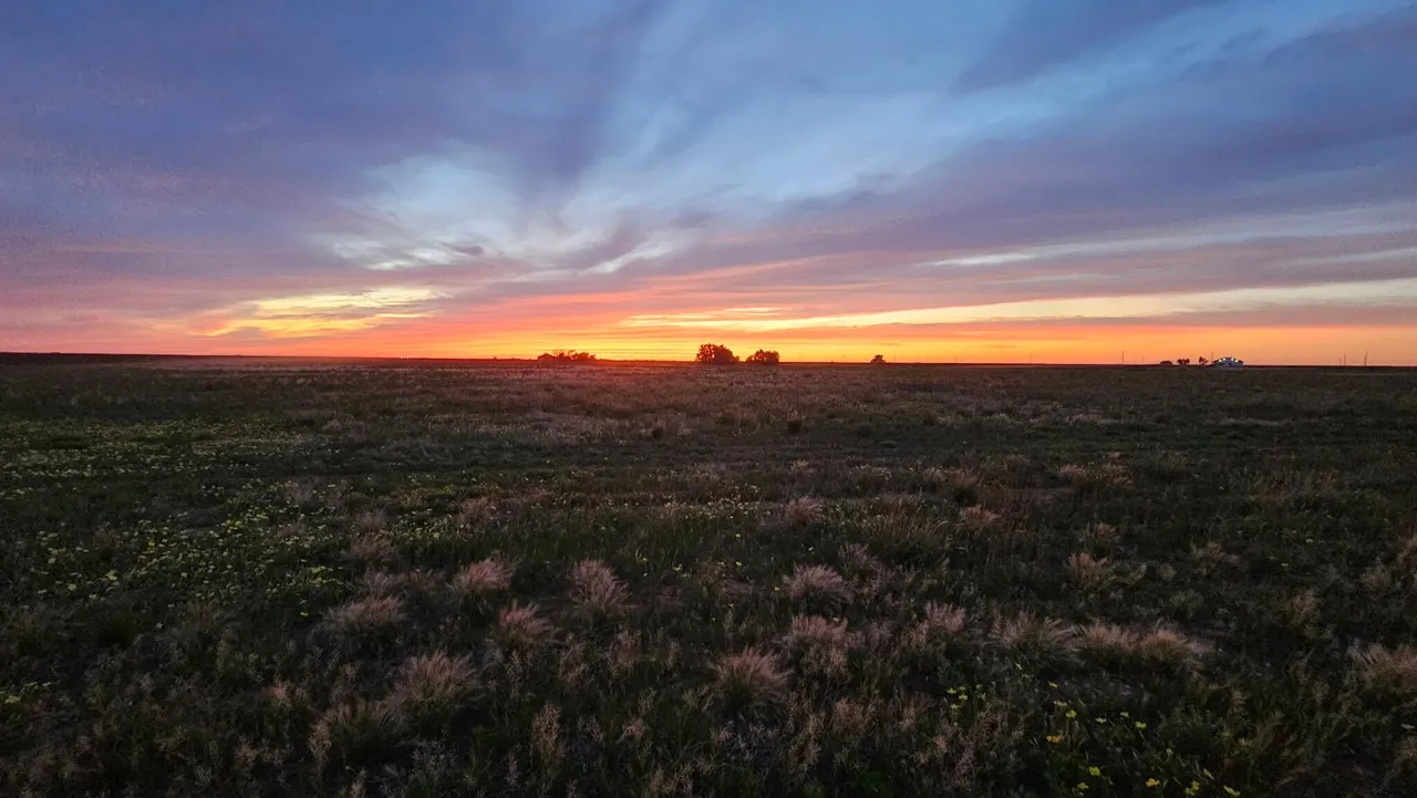 Photo 9 — 1521 County Road 13, Tahoka, TX 79373