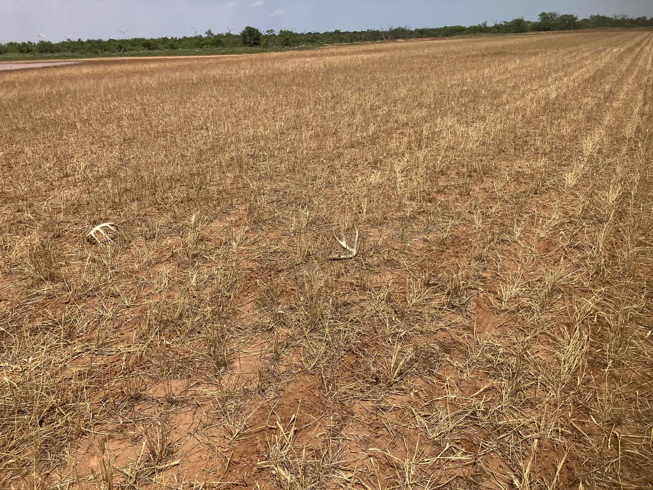 Front exterior — CR 29, Tahoka, TX 79373