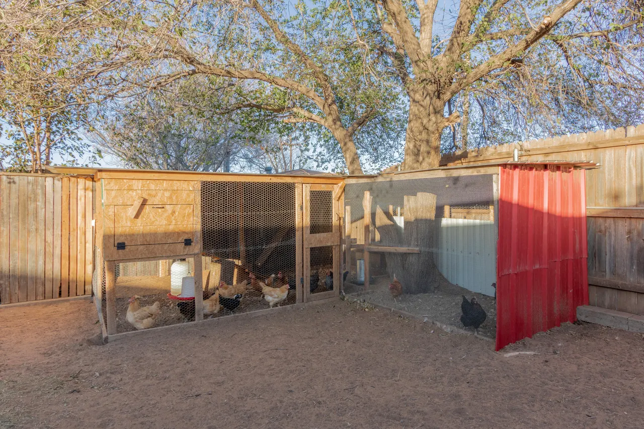 Photo 34 — 4404 49th Street, Lubbock, TX 79414