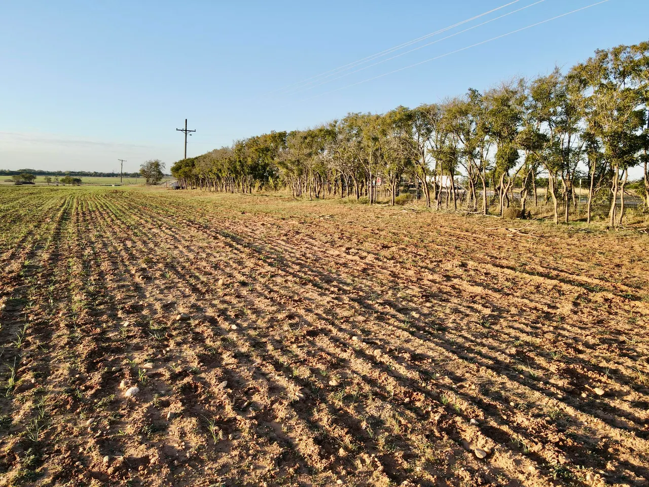 Photo 3 — Tract 1- 15 +/- Acres State Highway 70, Turkey, TX 79261