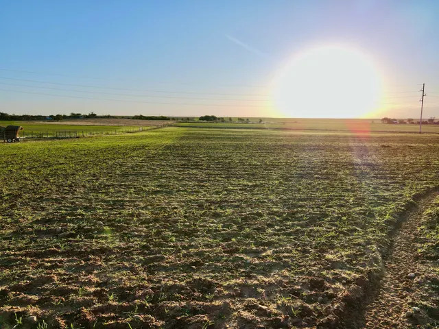 Photo 4 — Tract 1- 15 +/- Acres State Highway 70, Turkey, TX 79261