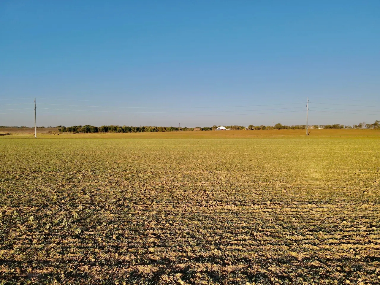 Photo 2 — Tract 2- 20 +/- Acres State Highway 70, Turkey, TX 79261