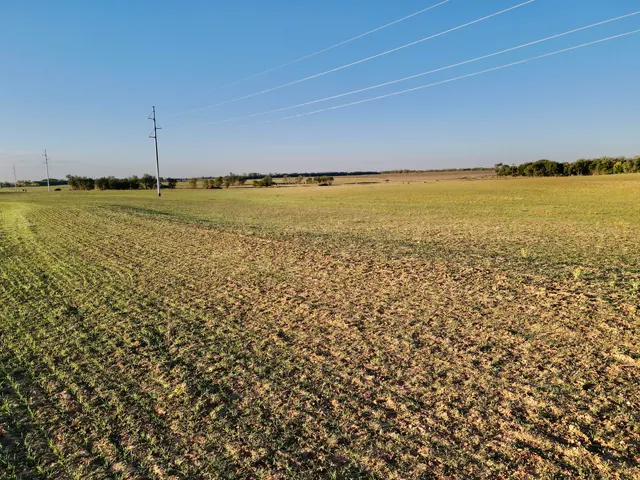 Photo 3 — Tract 2- 20 +/- Acres State Highway 70, Turkey, TX 79261