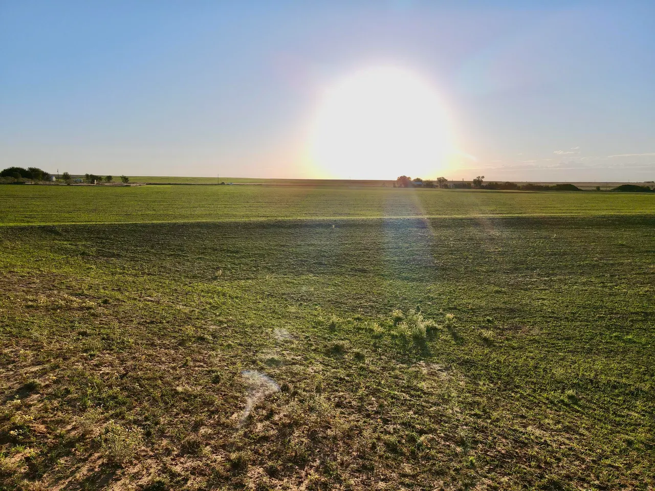 Photo 4 — Tract 2- 20 +/- Acres State Highway 70, Turkey, TX 79261