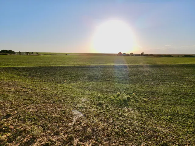 Photo 4 — Tract 2- 20 +/- Acres State Highway 70, Turkey, TX 79261