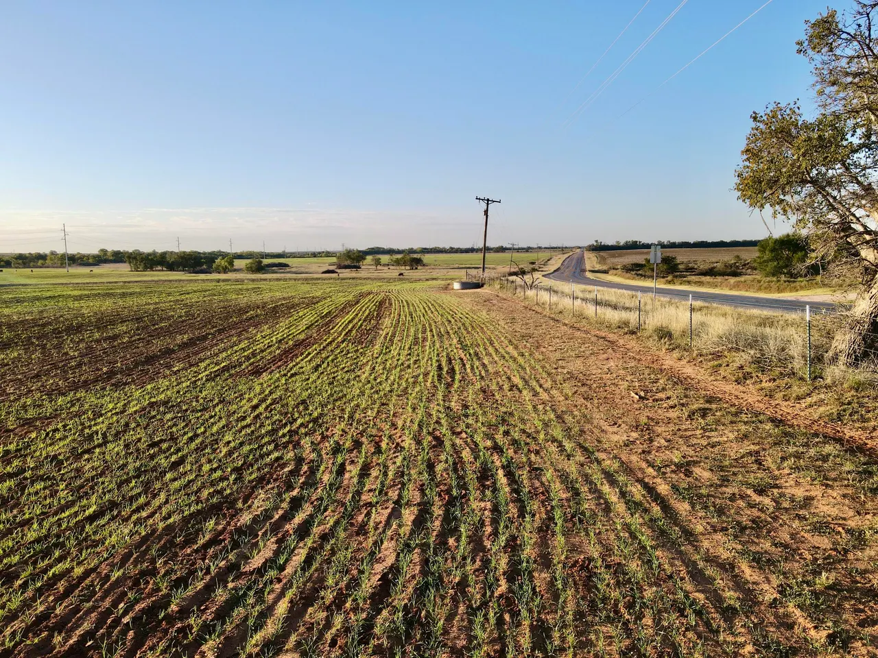 Photo 5 — Tract 2- 20 +/- Acres State Highway 70, Turkey, TX 79261