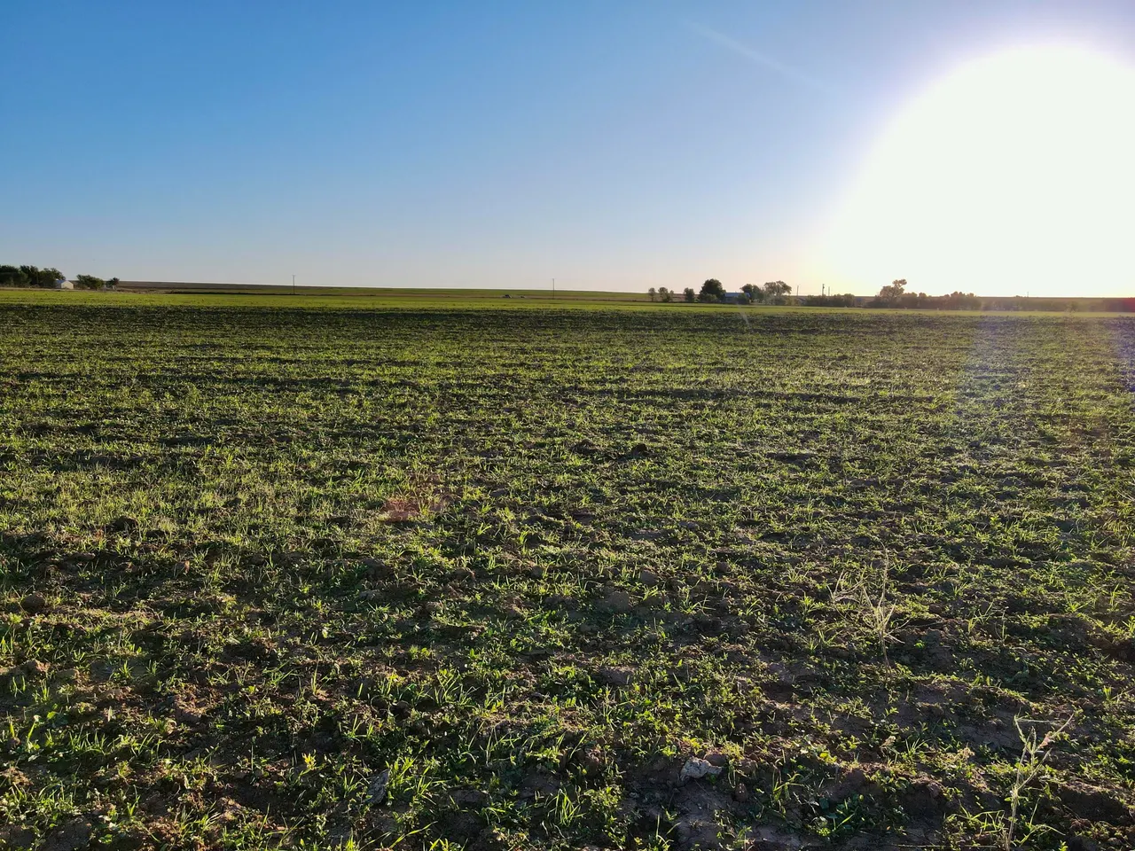 Photo 5 — Tract 3- 20+/- Acres State Highway 70, Turkey, TX 79261