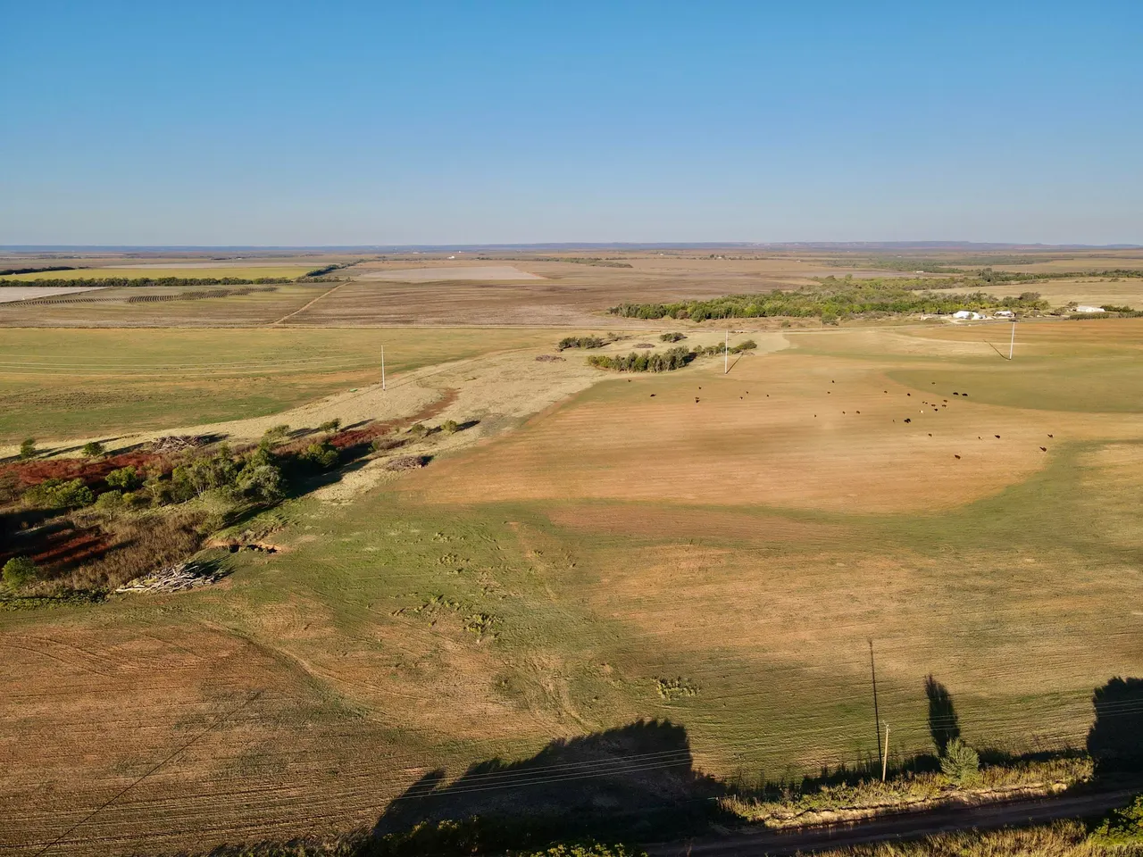 Photo 5 — Tract 4- 25 +/- Acres State Highway 70, Turkey, TX 79261
