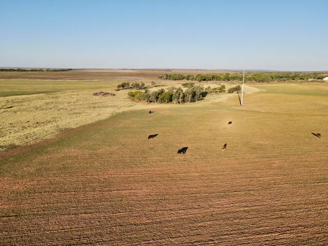 Photo 6 — Tract 4- 25 +/- Acres State Highway 70, Turkey, TX 79261