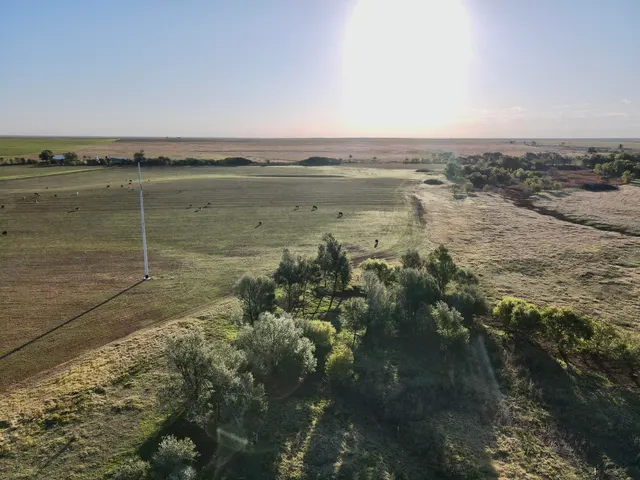 Photo 8 — Tract 4- 25 +/- Acres State Highway 70, Turkey, TX 79261
