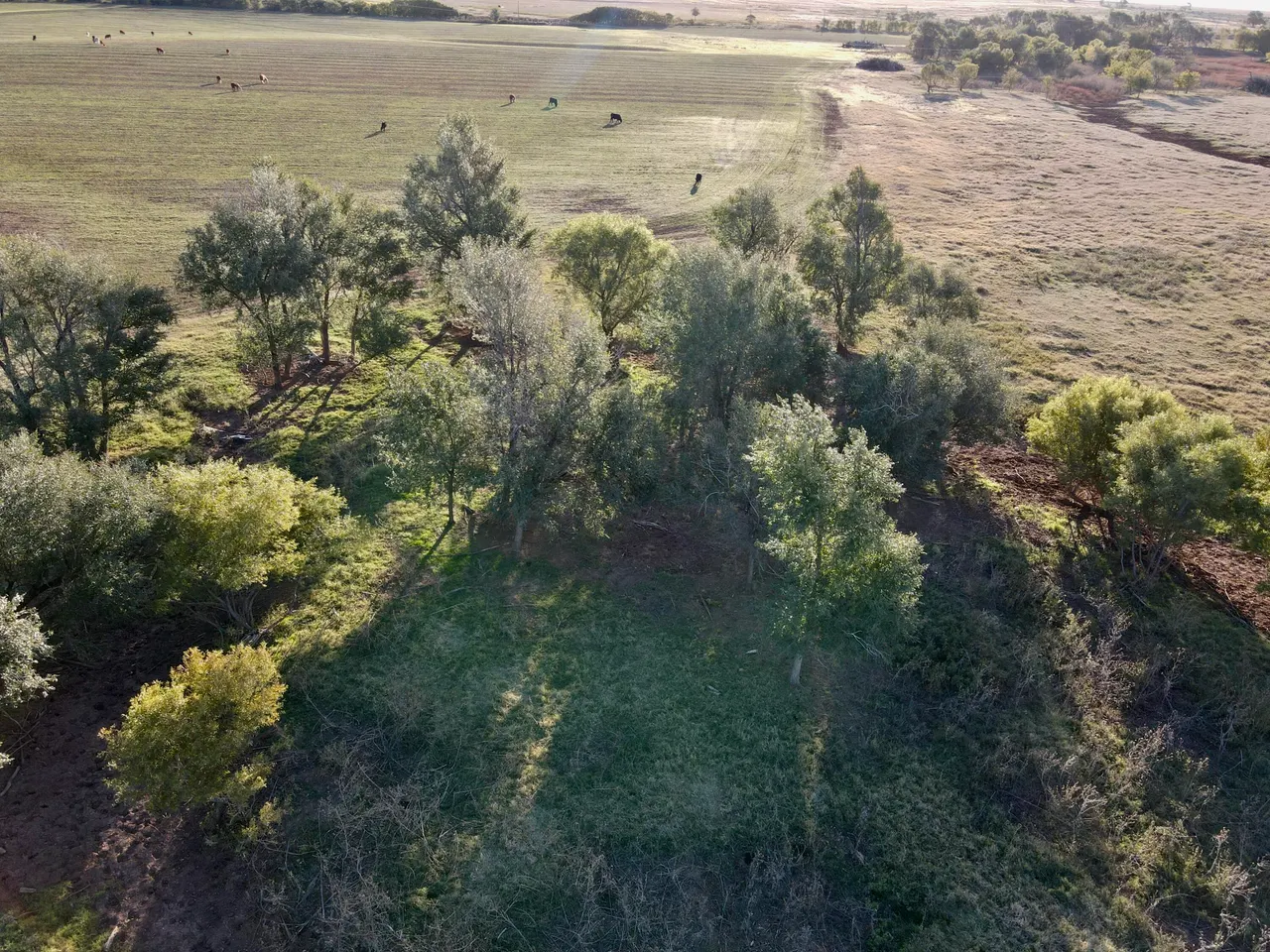 Photo 9 — Tract 4- 25 +/- Acres State Highway 70, Turkey, TX 79261