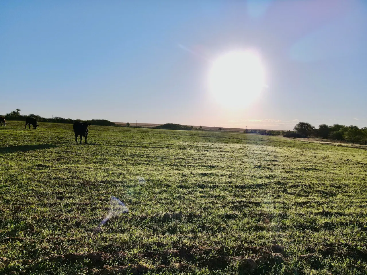 Photo 10 — Tract 4- 25 +/- Acres State Highway 70, Turkey, TX 79261
