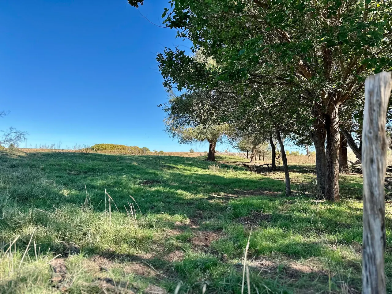 Photo 13 — Tract 4- 25 +/- Acres State Highway 70, Turkey, TX 79261