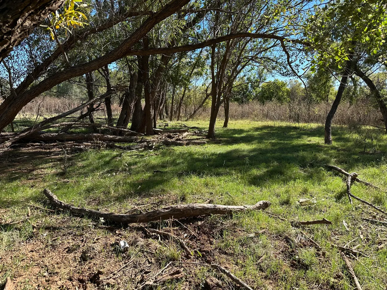Photo 14 — Tract 4- 25 +/- Acres State Highway 70, Turkey, TX 79261