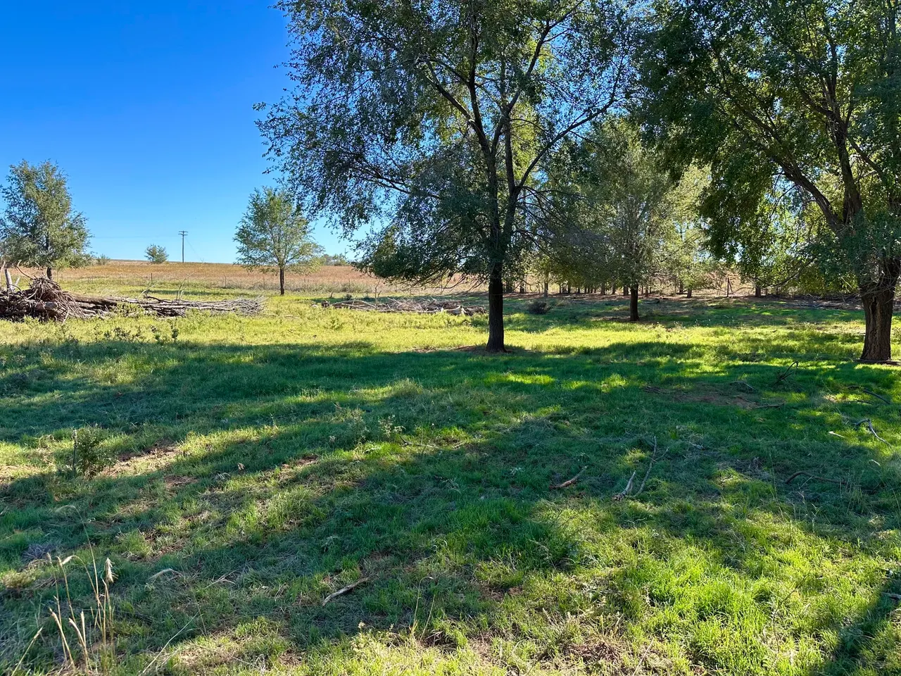 Photo 15 — Tract 4- 25 +/- Acres State Highway 70, Turkey, TX 79261