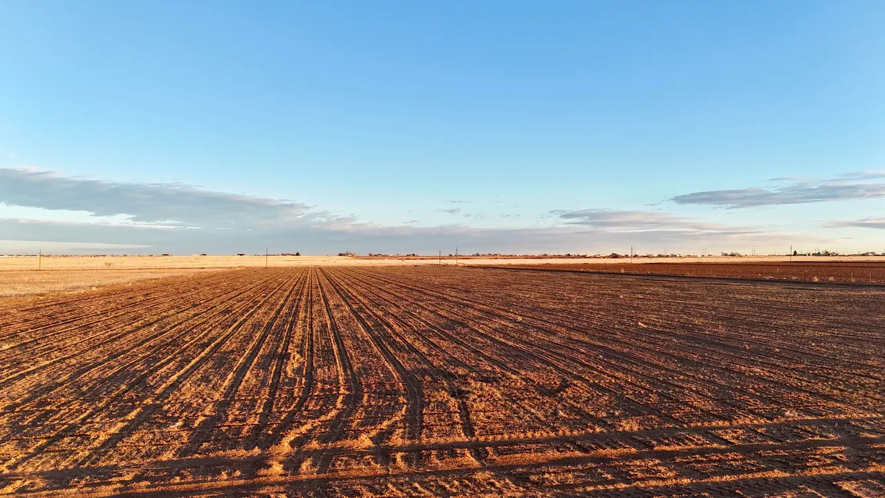 Photo 3 — County Rd 5500, Shallowater, TX 79363