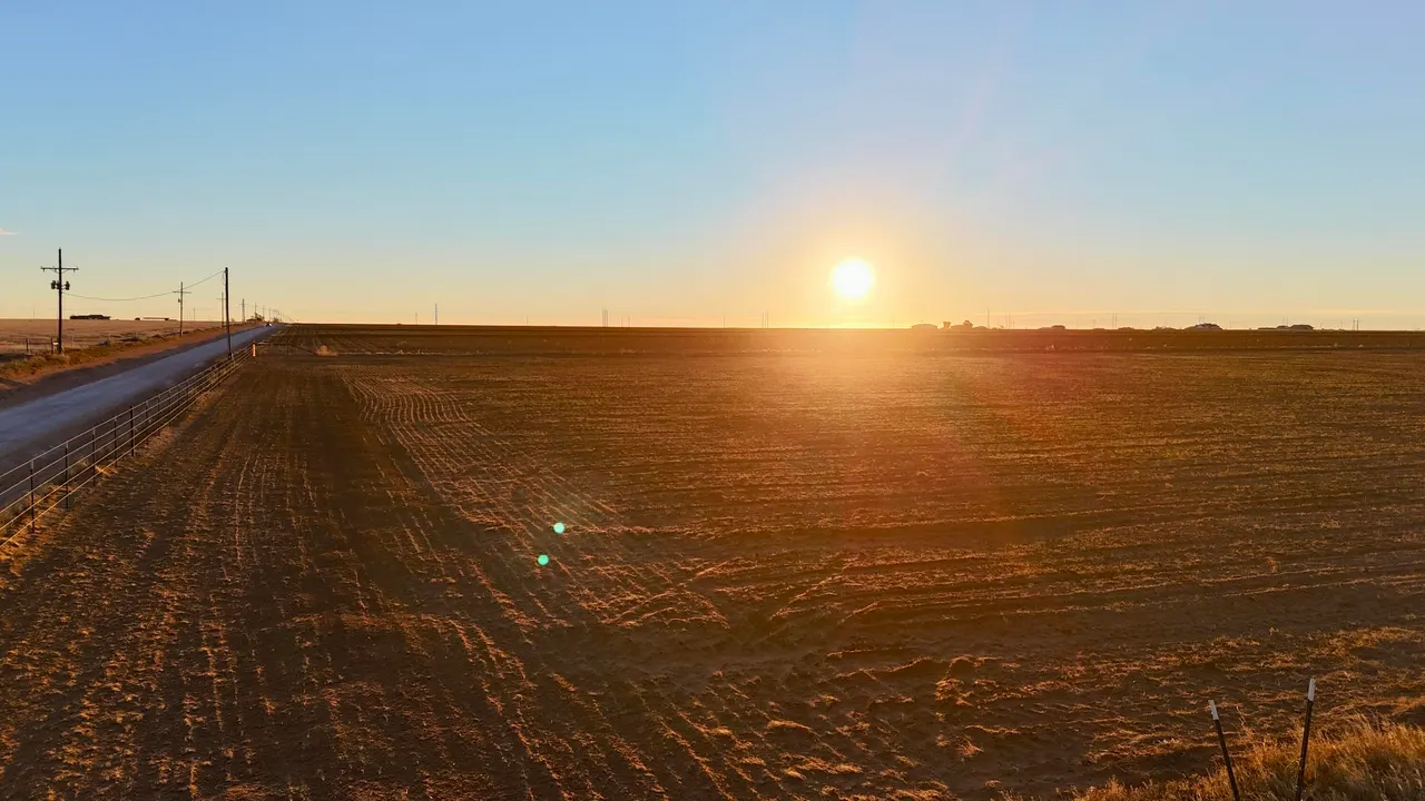 Photo 5 — County Rd 5500, Shallowater, TX 79363