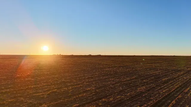 Photo 6 — County Rd 5500, Shallowater, TX 79363