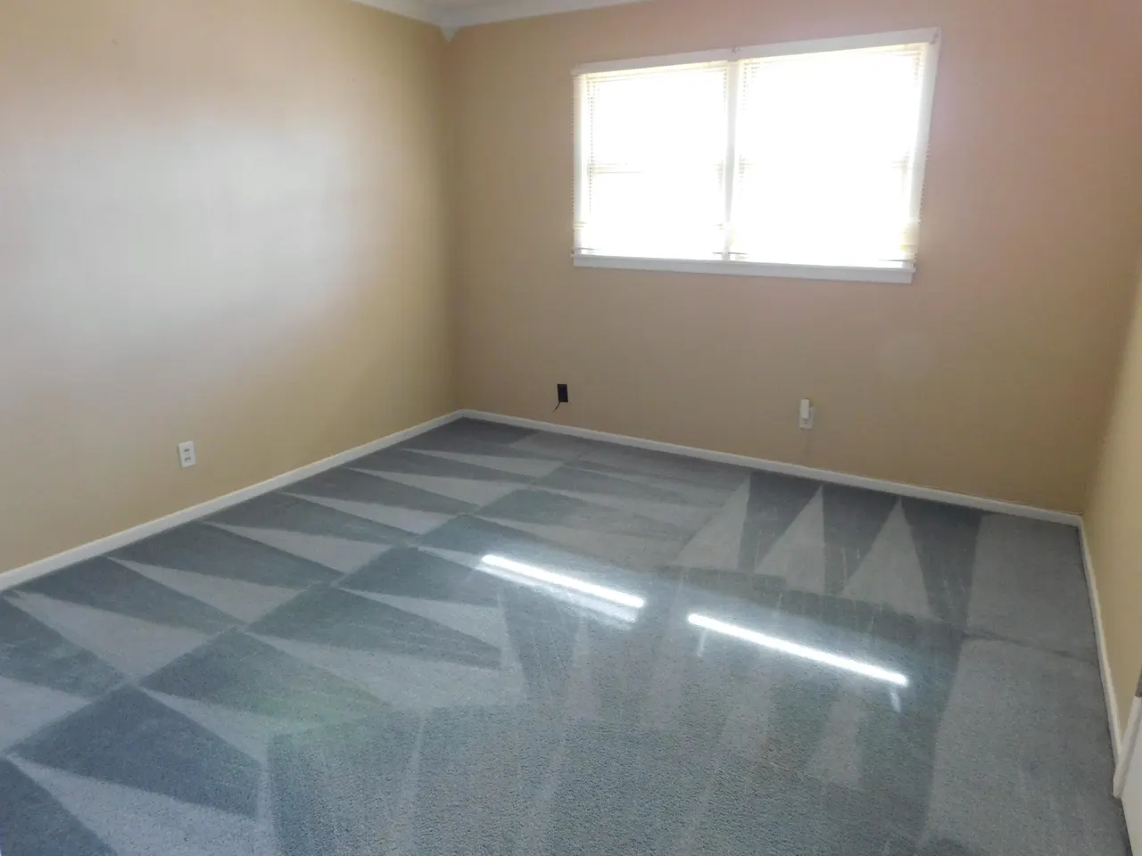 Photo 9 — 1722 W Avenue B, Muleshoe, TX 79347
