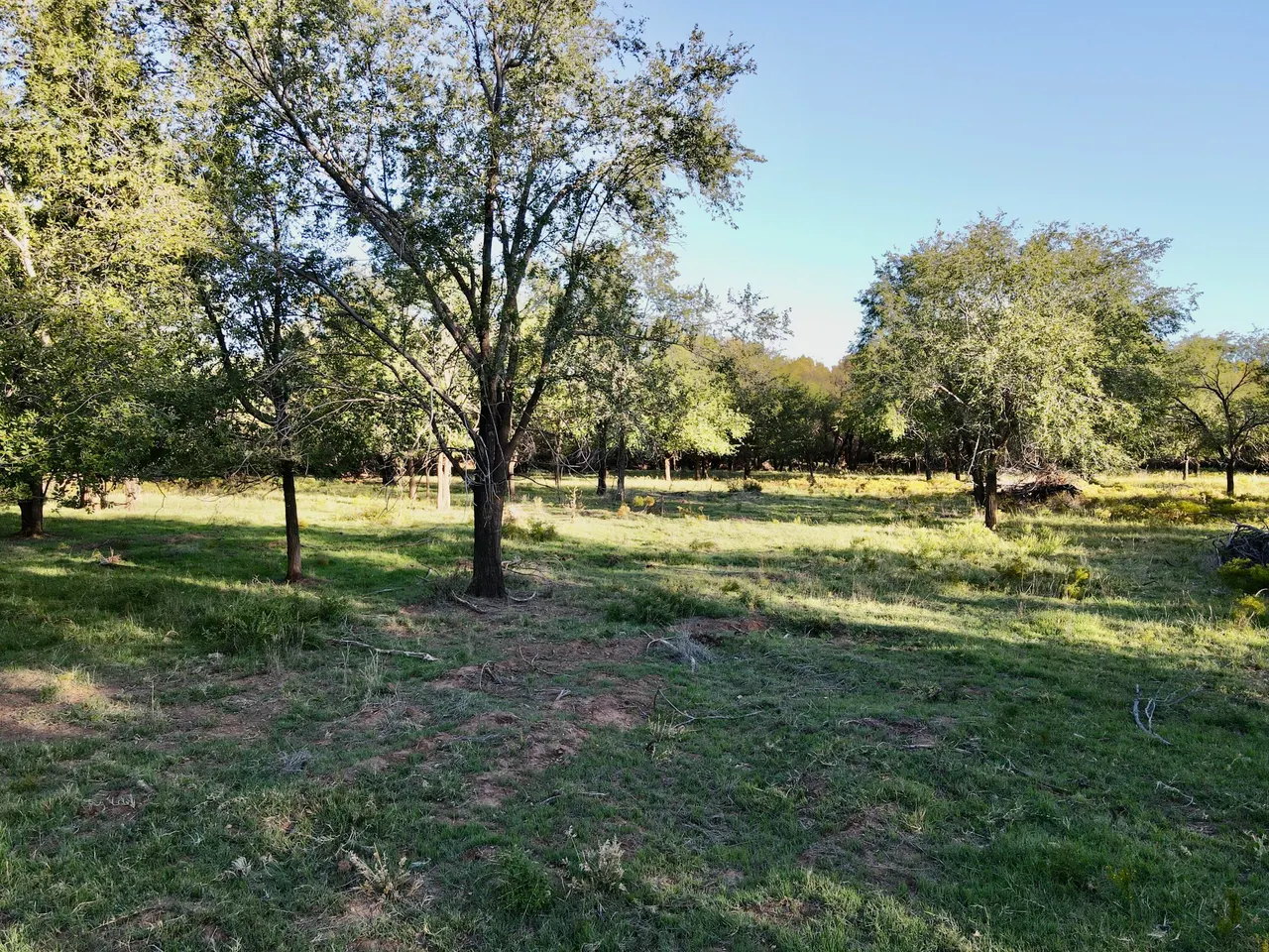 Photo 13 — Tract 5- 115+/- Acres State Highway 70, Turkey, TX 79261