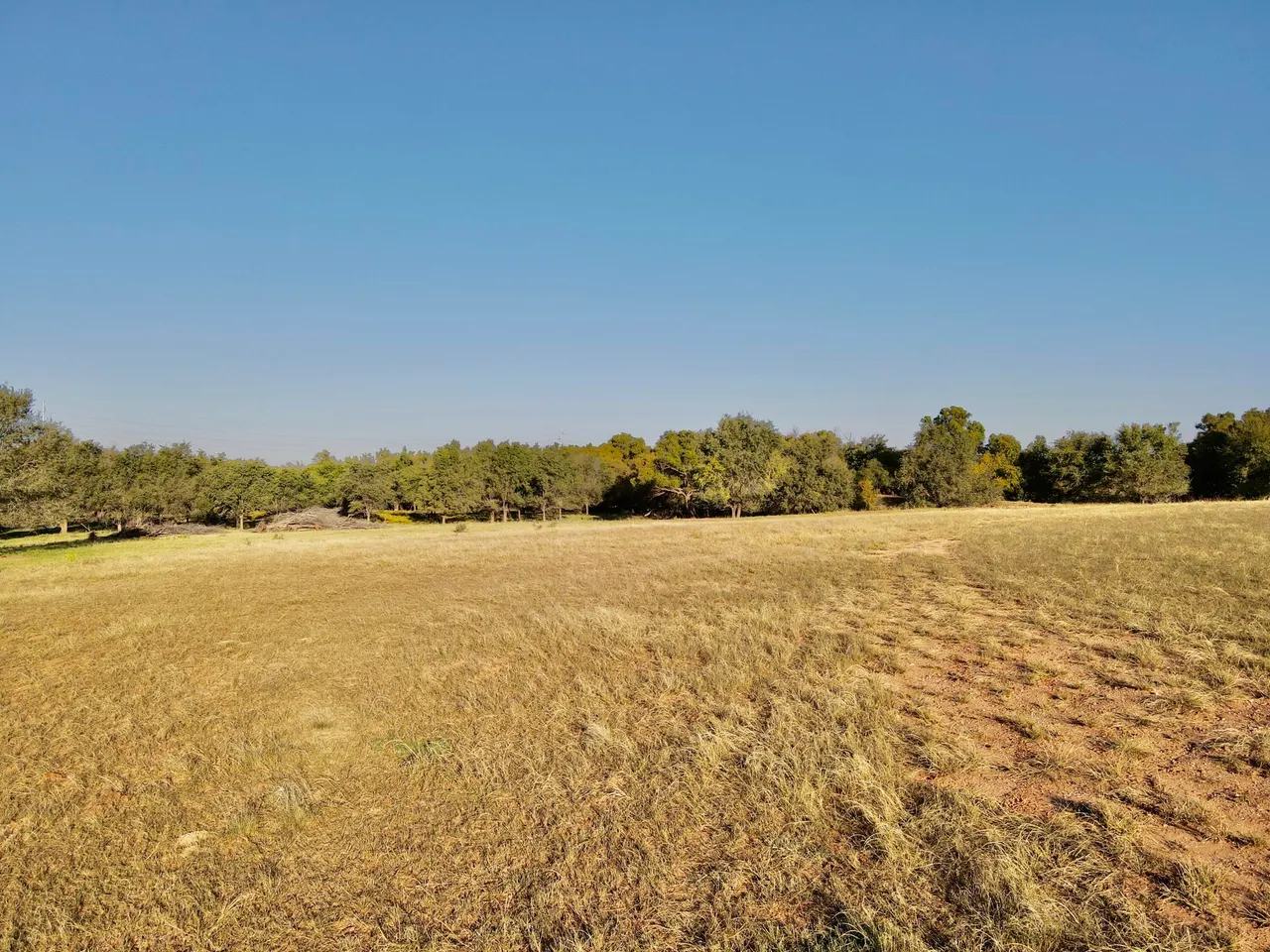 Photo 14 — Tract 5- 115+/- Acres State Highway 70, Turkey, TX 79261