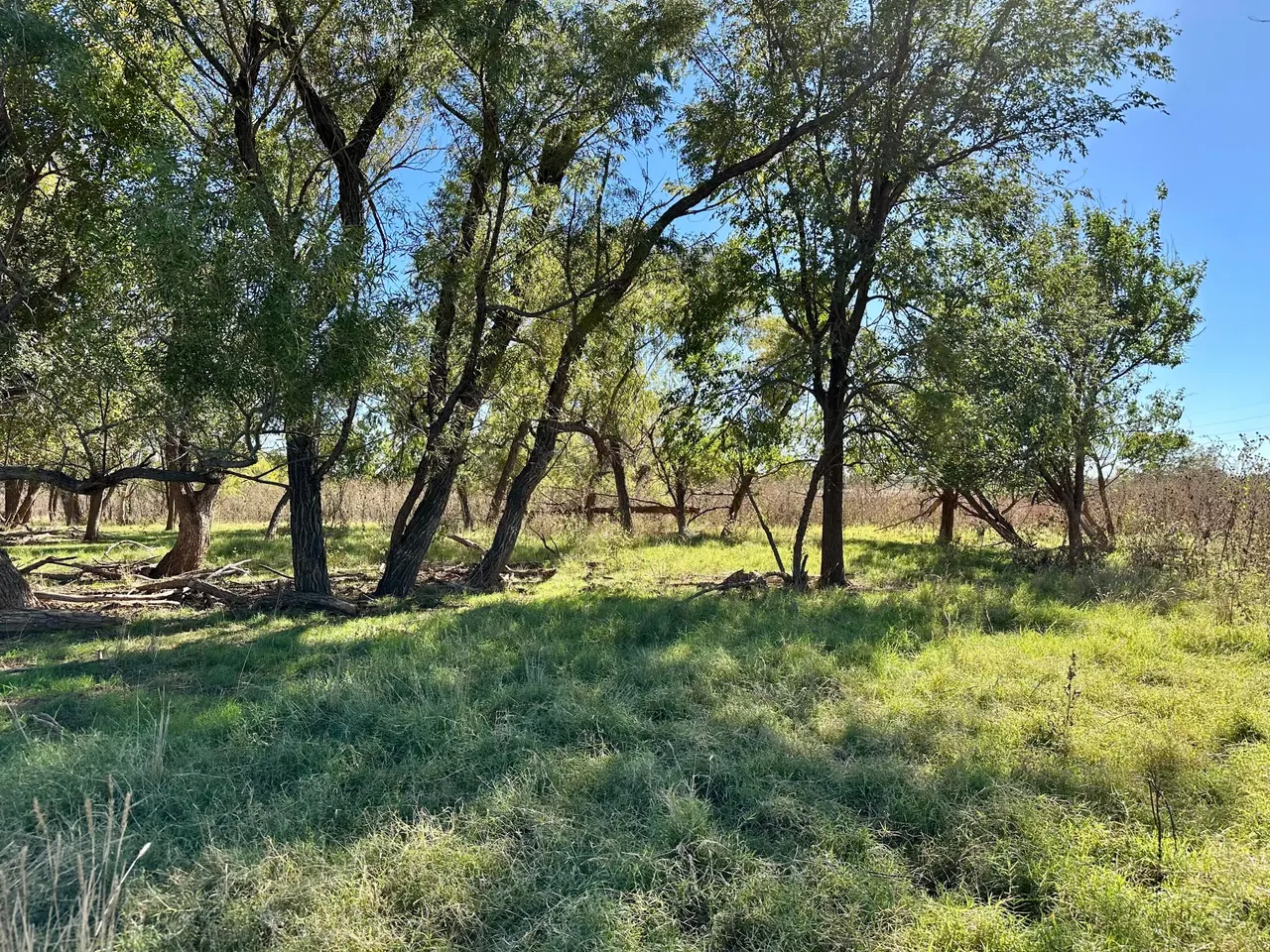 Photo 17 — Tract 5- 115+/- Acres State Highway 70, Turkey, TX 79261