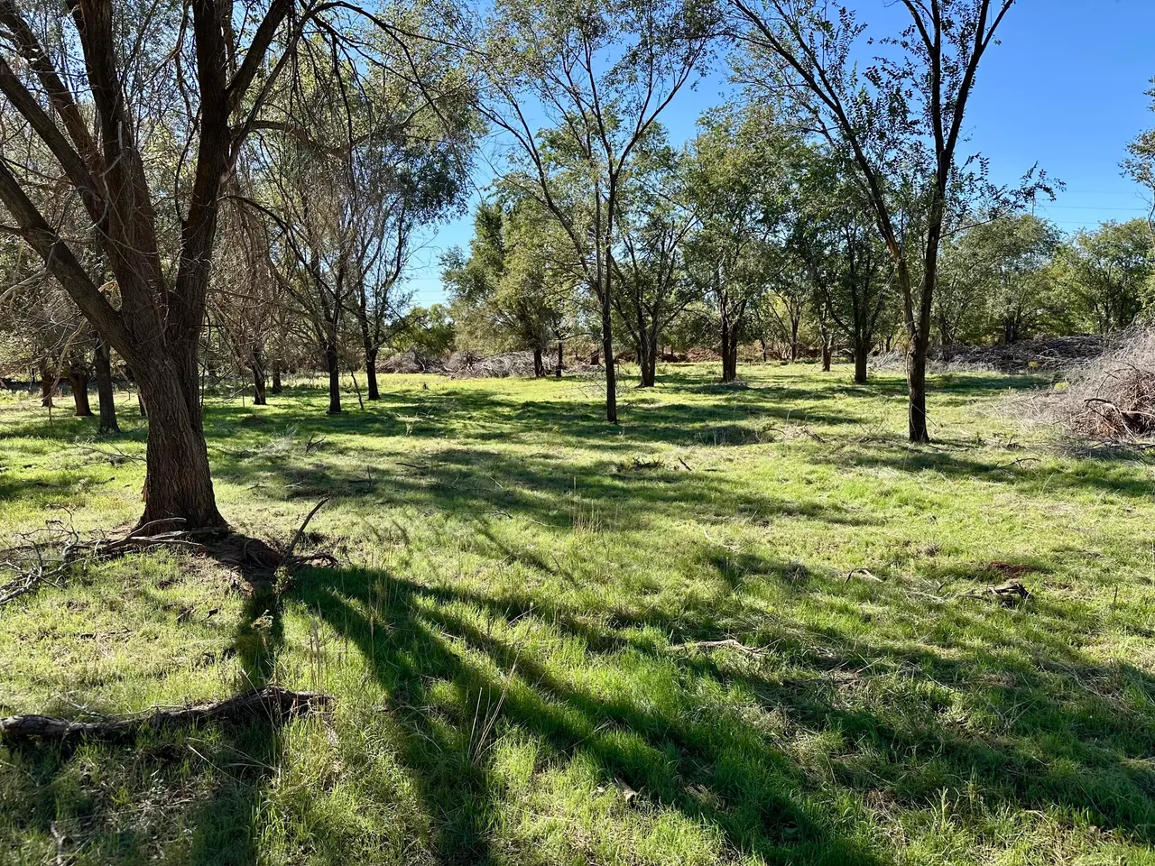Photo 18 — Tract 5- 115+/- Acres State Highway 70, Turkey, TX 79261