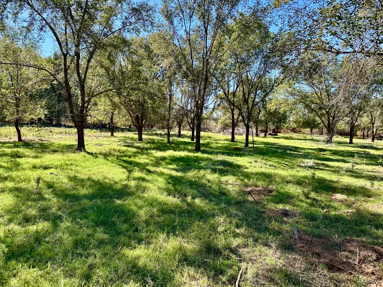 Photo 19 — Tract 5- 115+/- Acres State Highway 70, Turkey, TX 79261