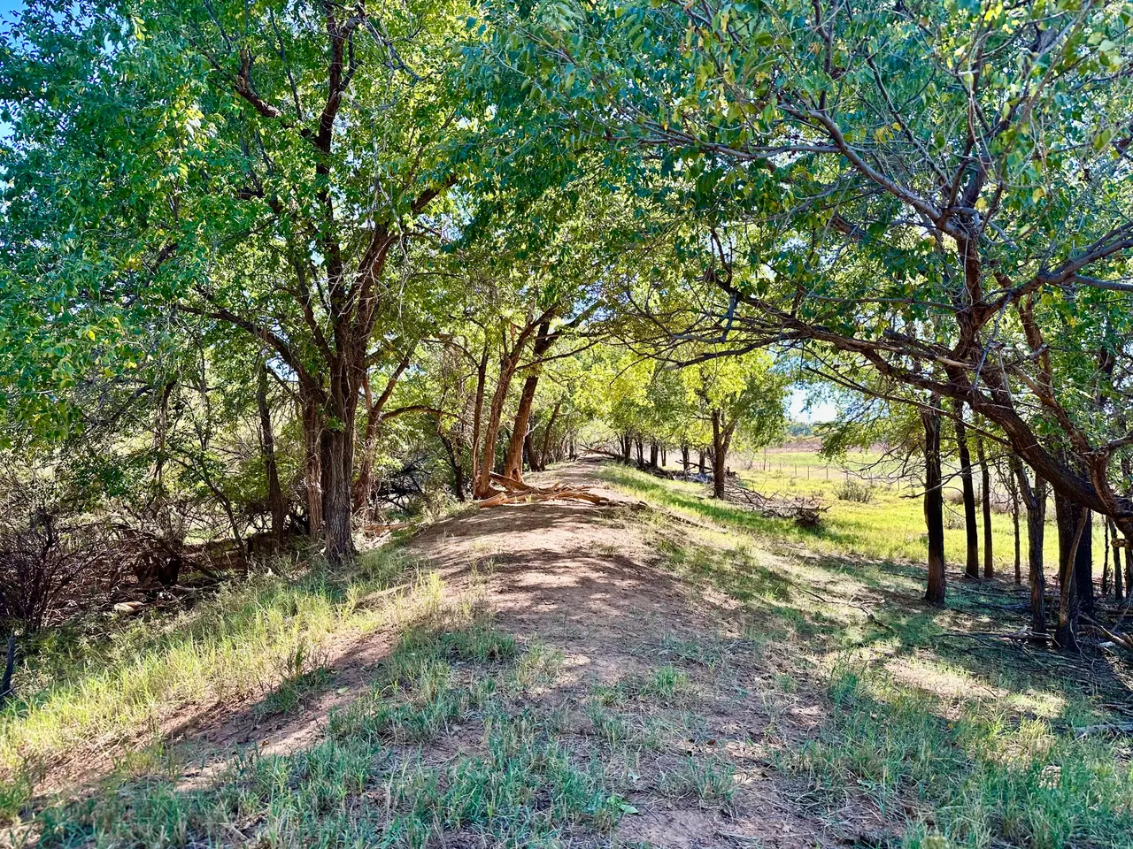 Photo 22 — Tract 5- 115+/- Acres State Highway 70, Turkey, TX 79261