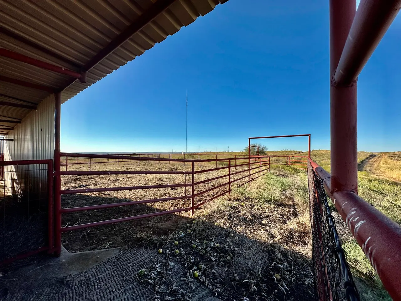 Photo 62 — FM 1041, Memphis, TX 79245