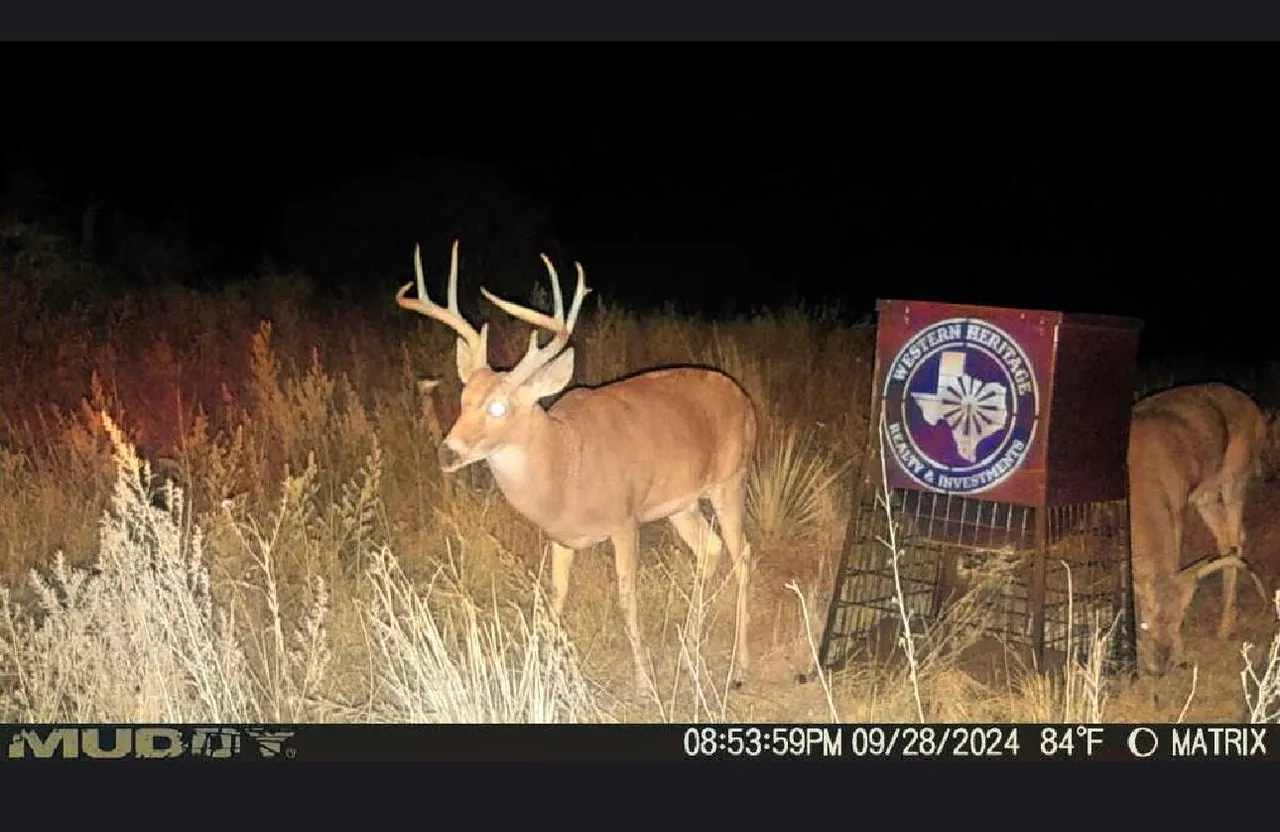 Photo 70 — FM 1041, Memphis, TX 79245