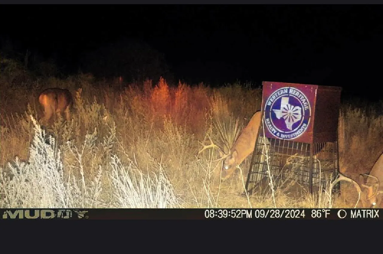 Photo 72 — FM 1041, Memphis, TX 79245