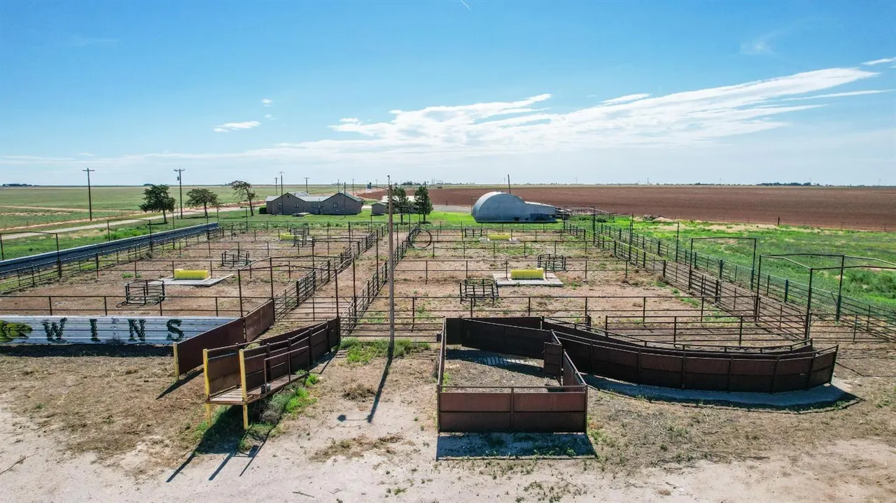 Photo 3 — 561 FM 302, Springlake, TX 79082