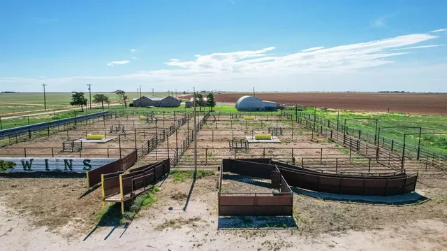 Photo 3 — 561 FM 302, Springlake, TX 79082