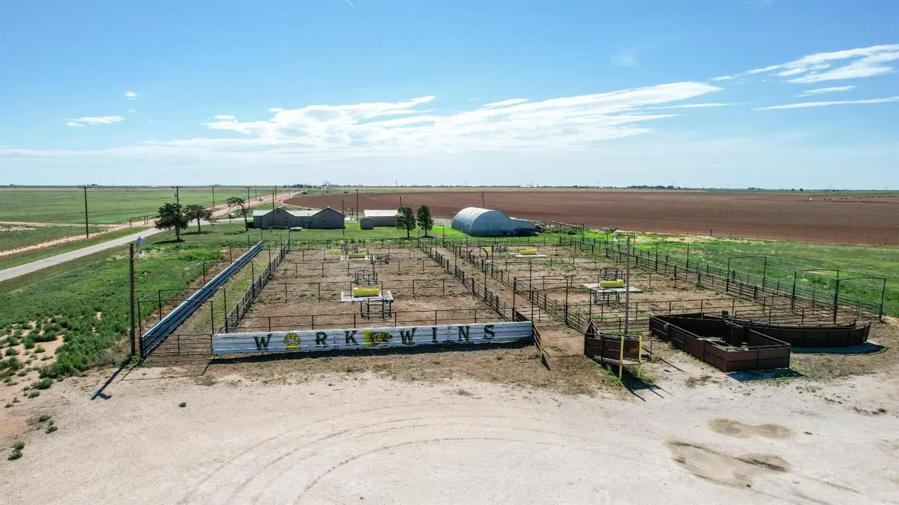 Photo 29 — 561 FM 302, Springlake, TX 79082